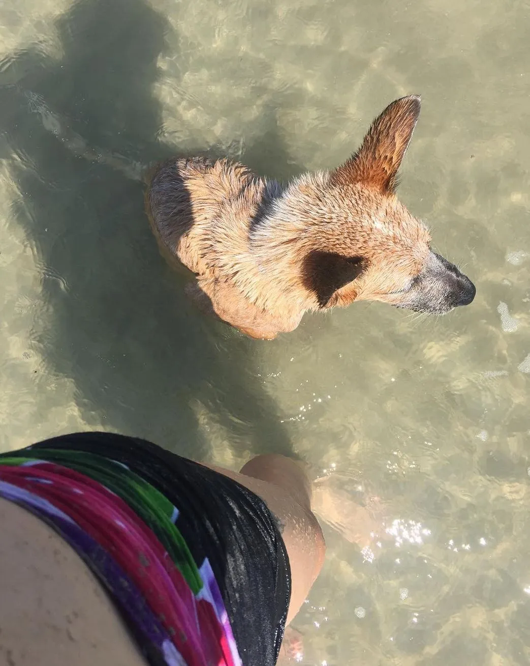Casuarina Beach